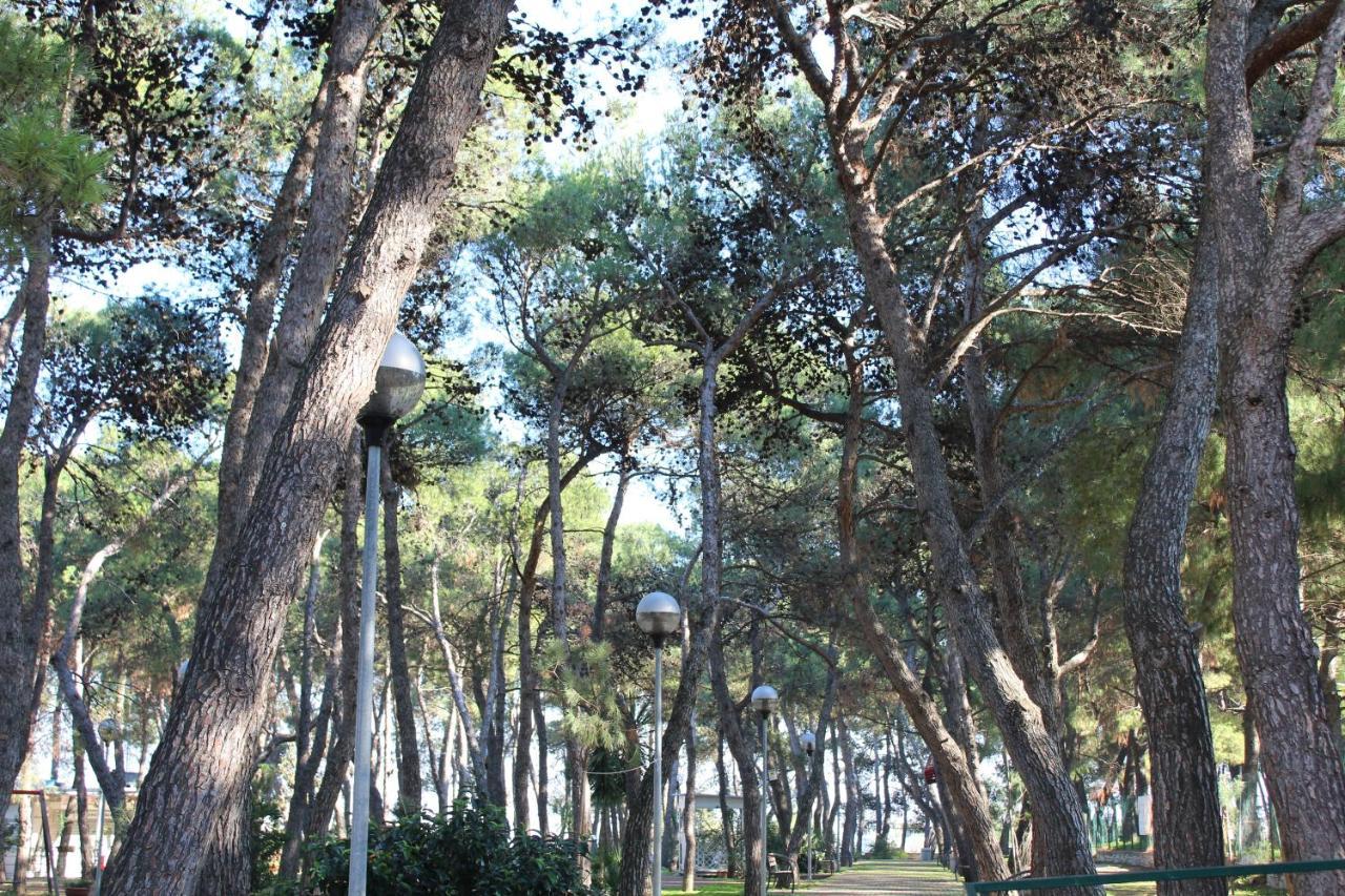 La Pigna Bed and Breakfast Ruvo di Puglia Buitenkant foto