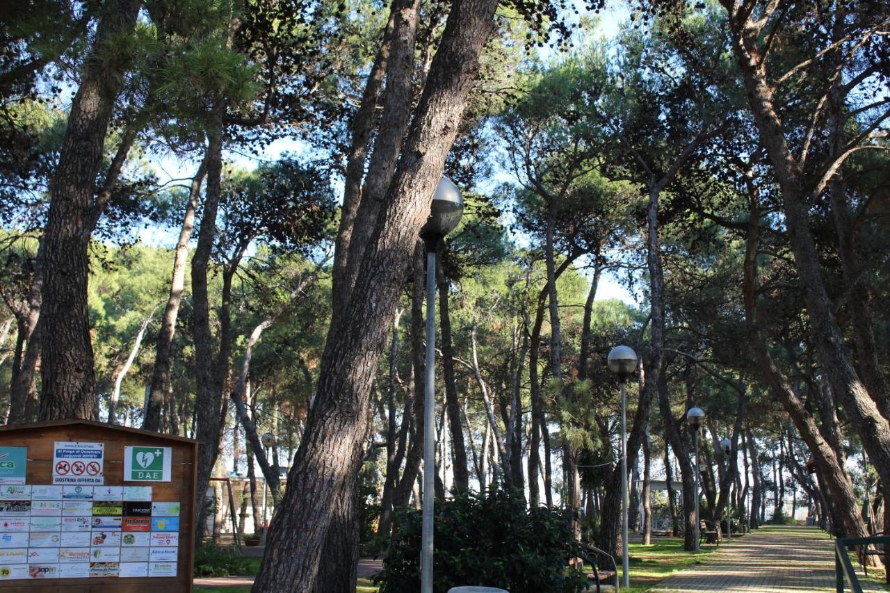 La Pigna Bed and Breakfast Ruvo di Puglia Buitenkant foto